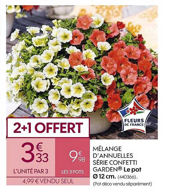 mélange d'annuelles série confetti garden 2+1 offert