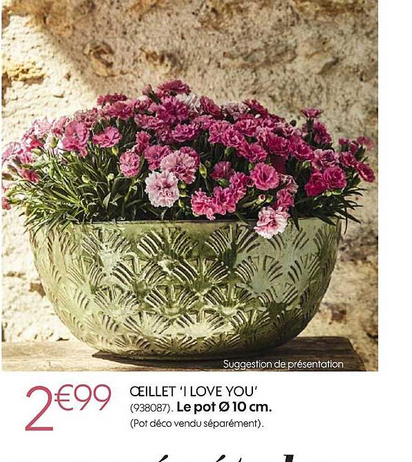 œillet 'i love you'