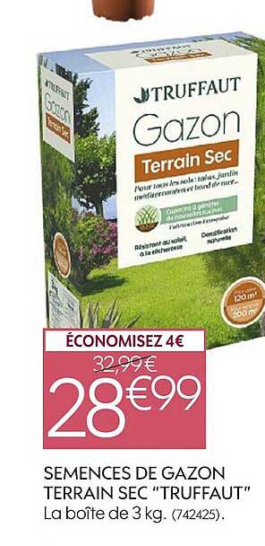 Semences De Gazon Terrain Sec Truffaut