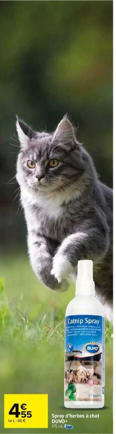 spray d'herbes à chat duvo+
