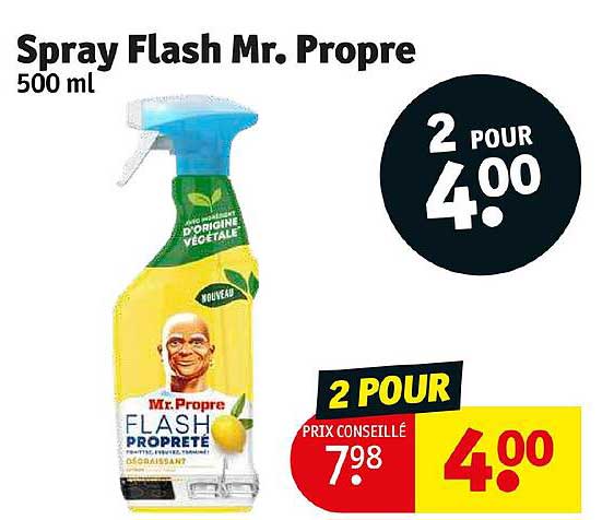 spray flash mr propre