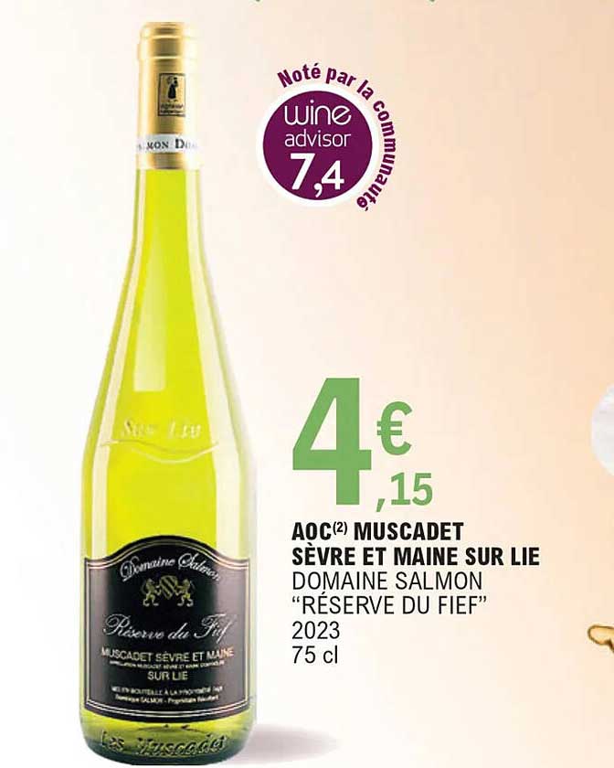 aoc muscadet sèvre et maine sur lie domaine salmon "réserve du fief" 2023