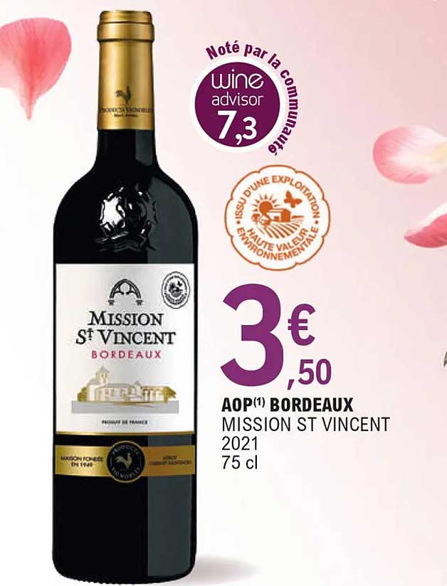 aop bordeaux mission st vincent 2021