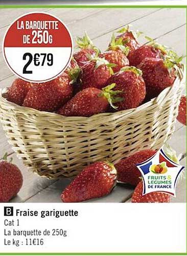 fraise gariguette