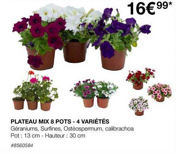 plateau mix 8 pots - 4 variétés