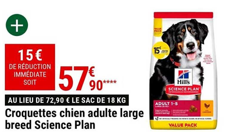 Croquettes chien adulte large breed Science Plan