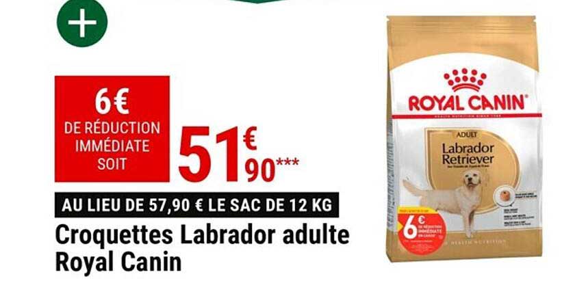 Croquettes Labrador Adulte Royal Canin