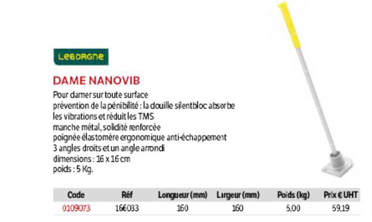 dame nanovib leborgne