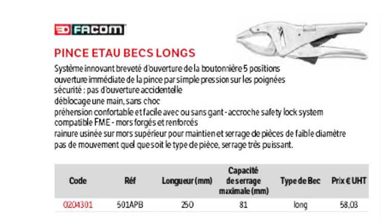 pince étau becs longs facom
