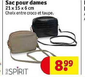 sac pour dames