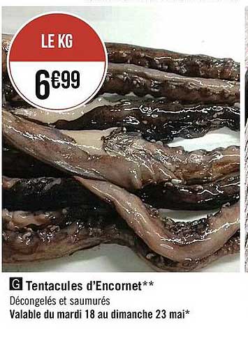 tentacules d'encornet
