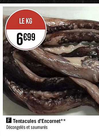 tentacules d'encornet