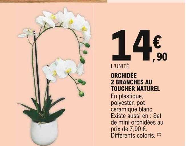 orchidée 2 branches au toucher naturel
