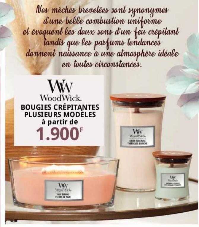 bougies crépitantes plusieurs modèles wood wick