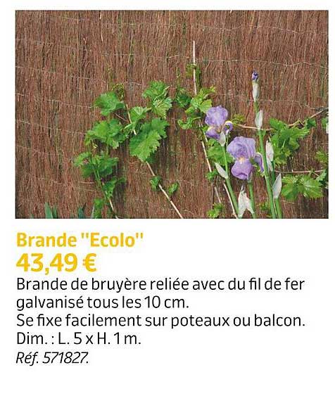 brande "ecolo"