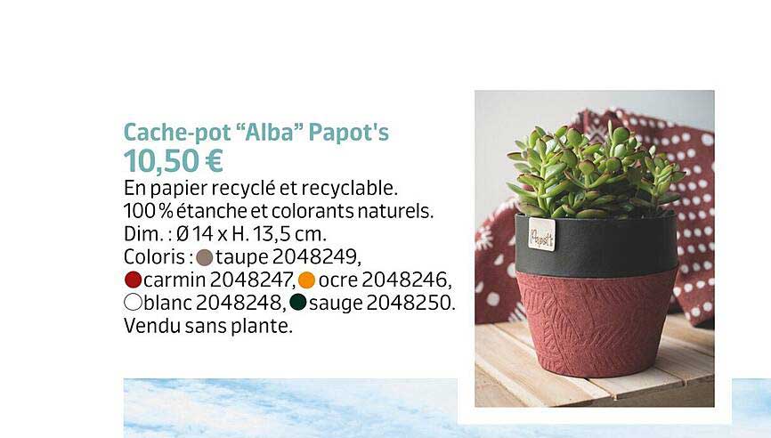 cache-pot "alba" papot's