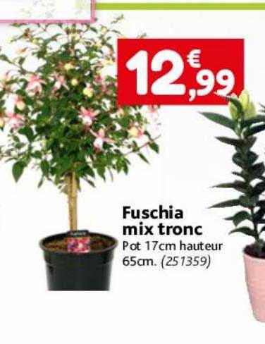 fuschia mix tronc