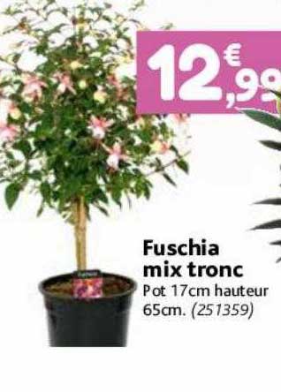 fuschia mix tronc