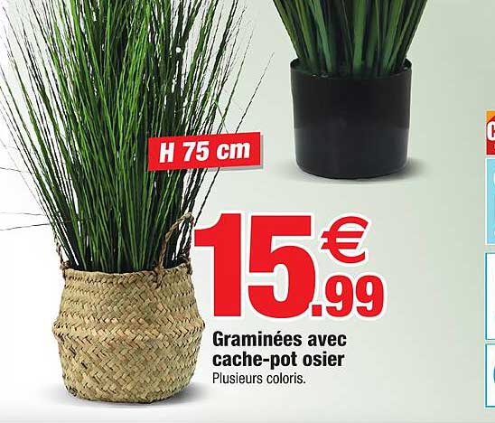 graminées avec cache-pot osier
