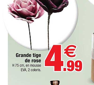 grande tige de rose