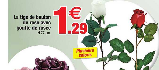la tige de bouton de rose avec goutte de rosée