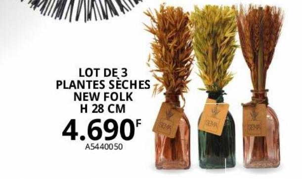 lot de 3 plantes sèches new folk h 28 cm