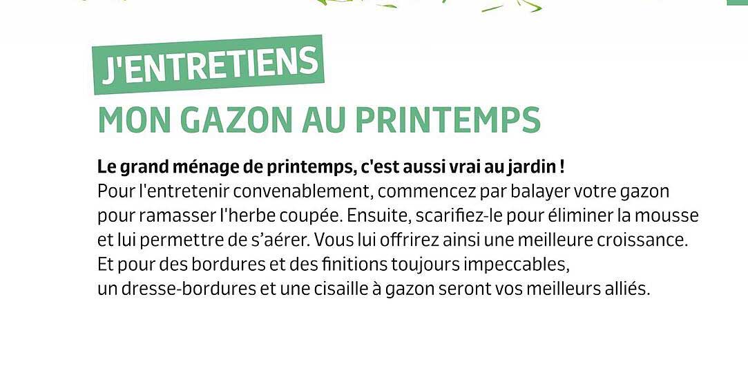 mon gazon au printemps