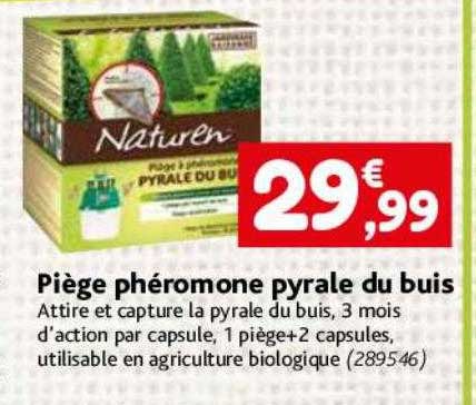 piège phéromone pyrale du buis