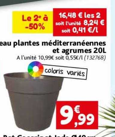 plantes méditerranéennes et agrumes 20l