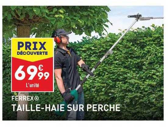 taille-haie sur perche ferrex
