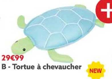 tortue à chevaucher