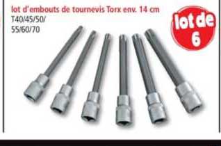lot d'embouts de tournevis torx env. 14 cm