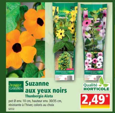 suzanne aux yeux noirs finest garden