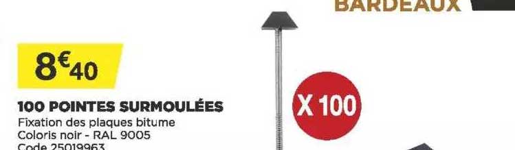 100 pointes surmoulées