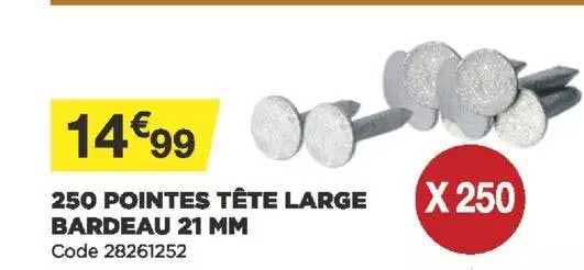 250 pointes tête large bardeau 21 mm