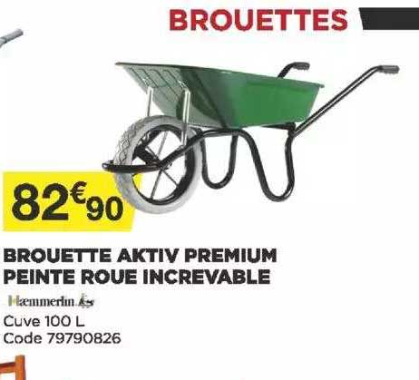 brouette aktiv premium peinte roue increvable