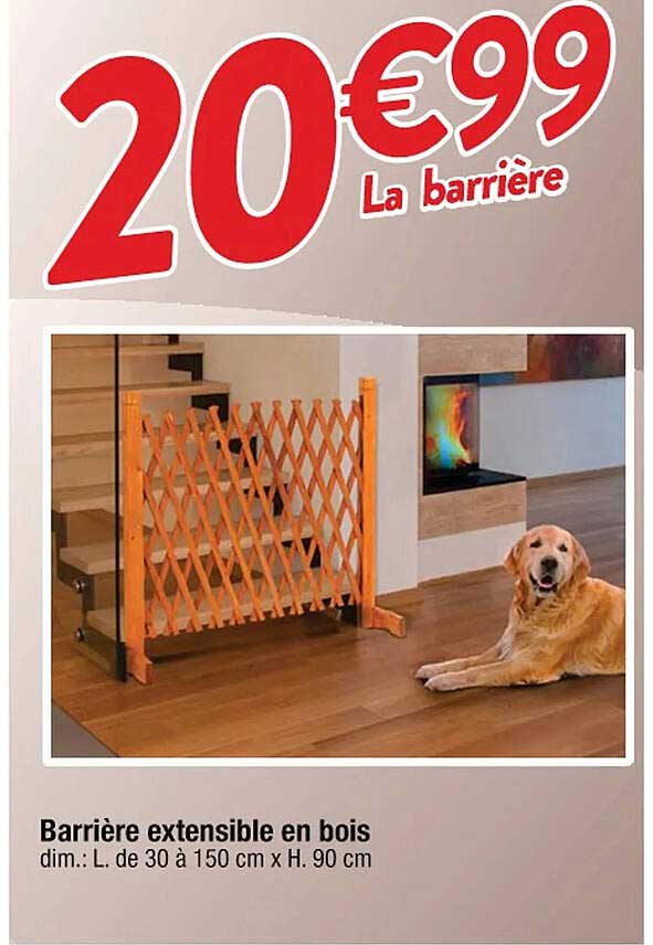 Barriere Extensible En Bois