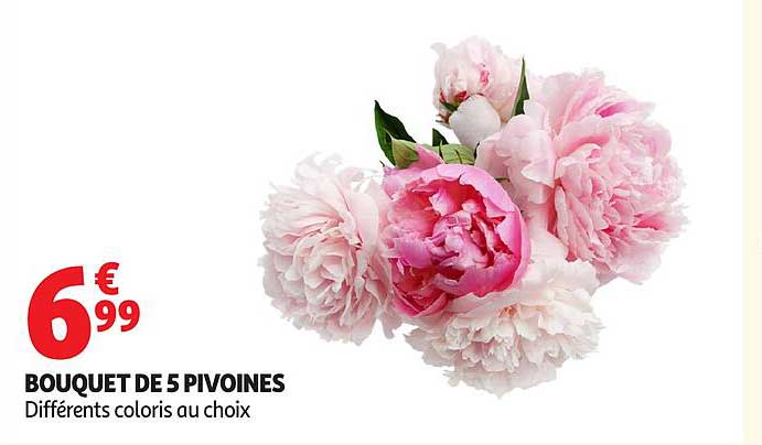 BOUQUET DE 5 PIVOINES