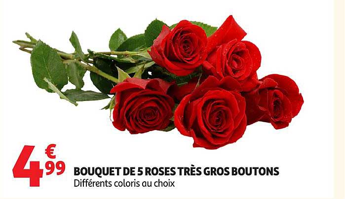 BOUQUET DE 5 ROSES TRÈS GROS BOUTONS