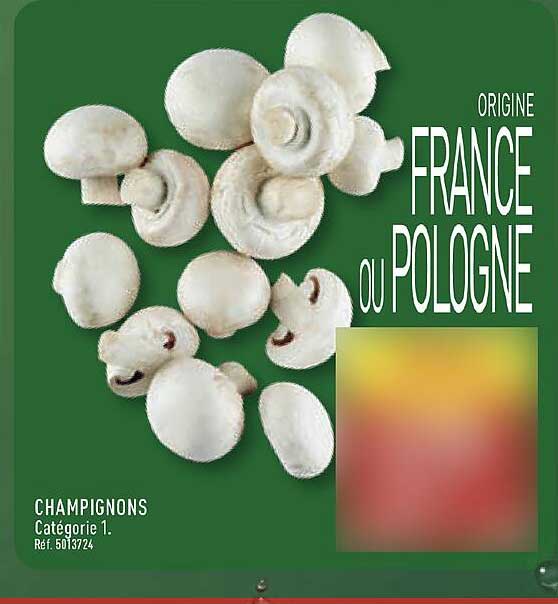 CHAMPIGNONS