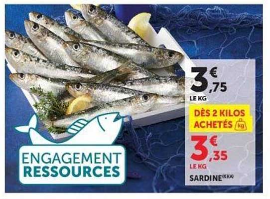 ENGAGEMENT RESSOURCES