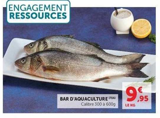 ENGAGEMENT RESSOURCES