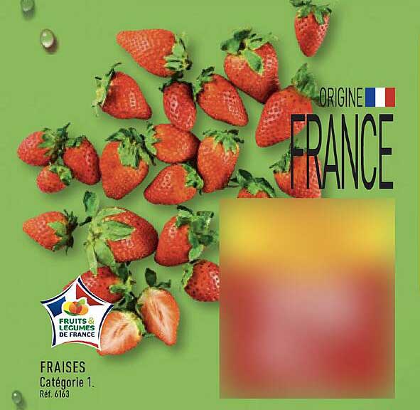 FRAISES Catégorie 1