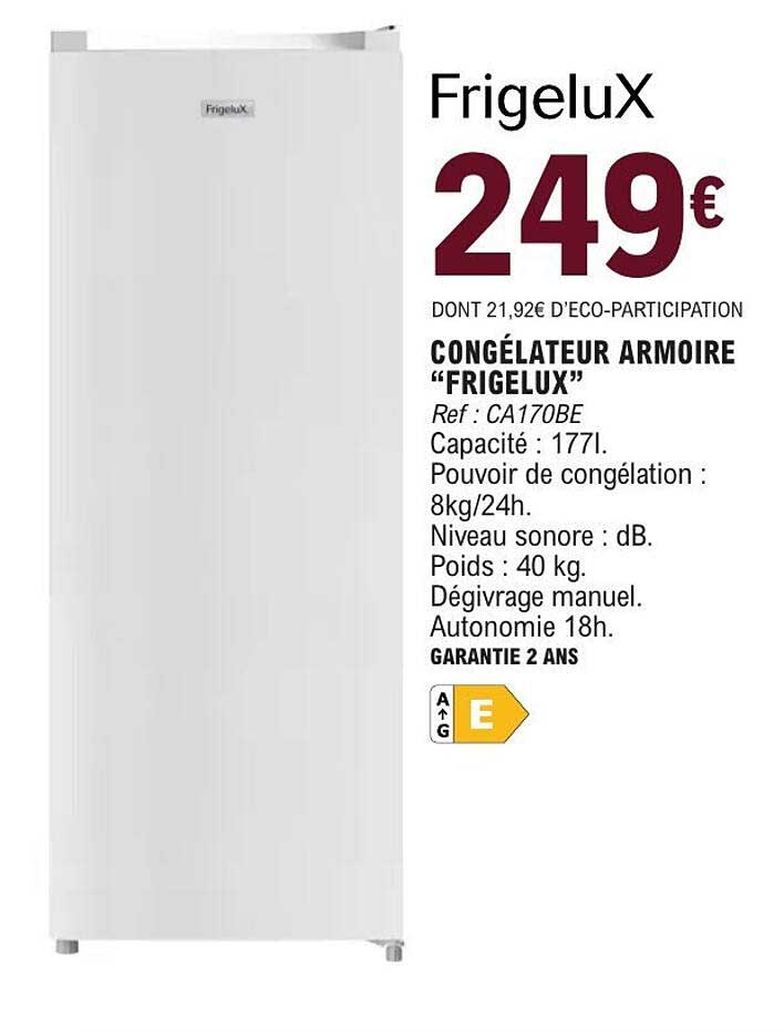 FrigeluX Congélateur Armoire