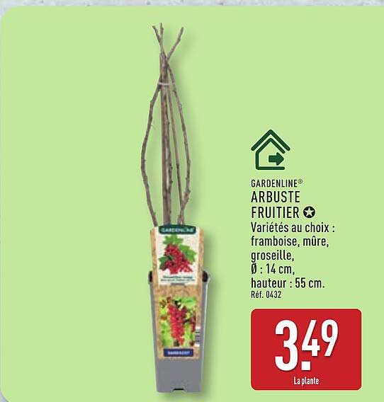 GARDENLINE ARBUSTE FRUITIER