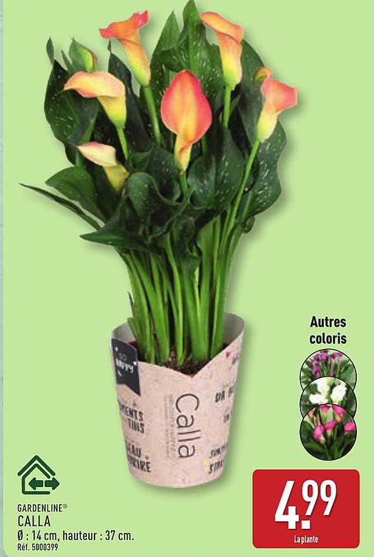 GARDENLINE CALLA