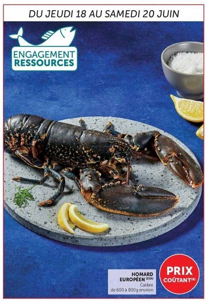 Homard Européen