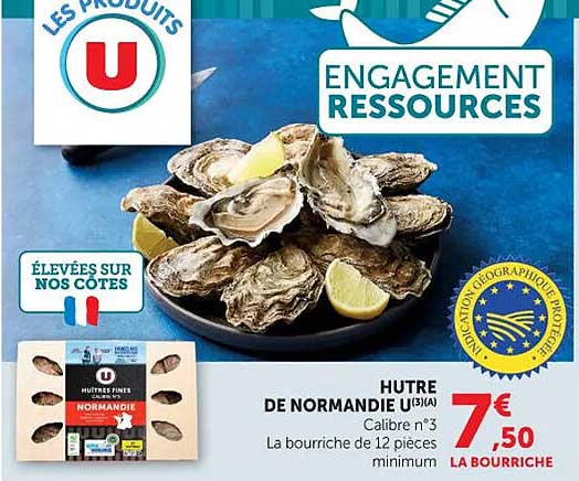HUITRE DE NORMANDIE U 3(A)