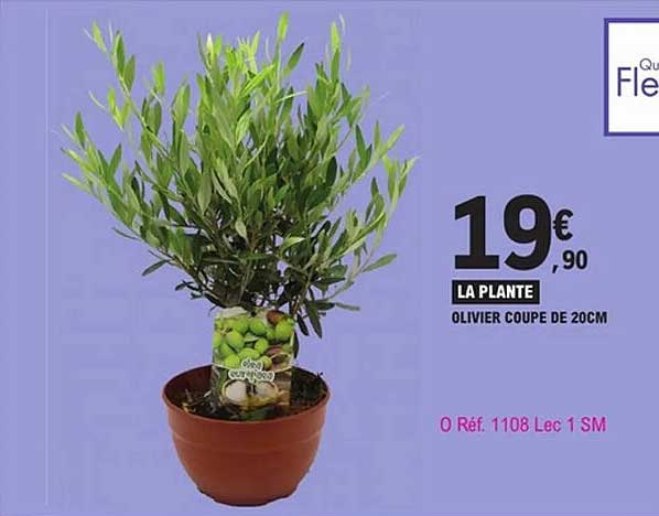 LA PLANTE