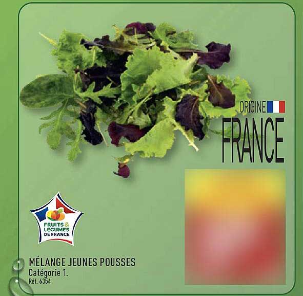 MÉLANGE JEUNES POUSSES